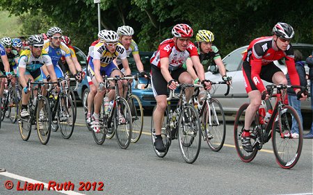 8054_lap-4-bunch.jpg