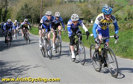 sgp12-a1-17.jpg