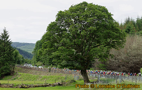 Ra__769_s_Tailteann_Stage_3-06.JPG