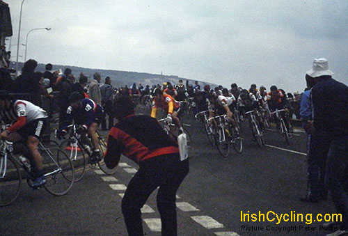 sealink-08.JPG